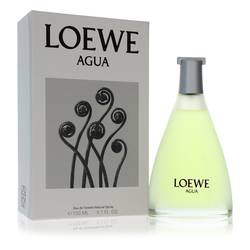 Agua De Loewe EDT for Women