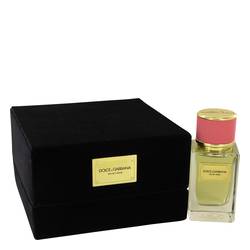 Dolce & Gabbana Velvet Rose EDP for Women