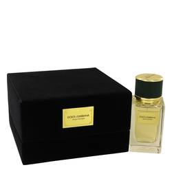 D&G Velvet Vetiver EDP for Unisex | Dolce & Gabbana