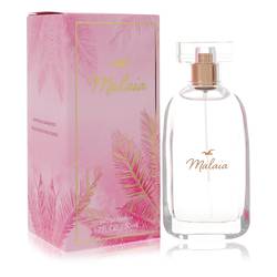 Hollister Malaia EDP for Women (50ml / 100ml)