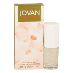 Jovan White Musk Cologne Spray for Women