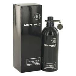 Montale Steam Aoud EDP for Women