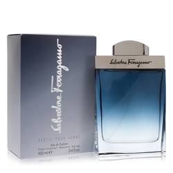 Salvatore Ferragamo Subtil EDT for Men (50ml / 100ml)