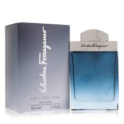 Salvatore Ferragamo Subtil EDT for Men (50ml / 100ml)